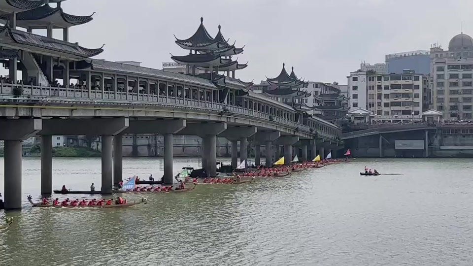 2024四会碧海湾龙舟赛比赛时间 - 抖音