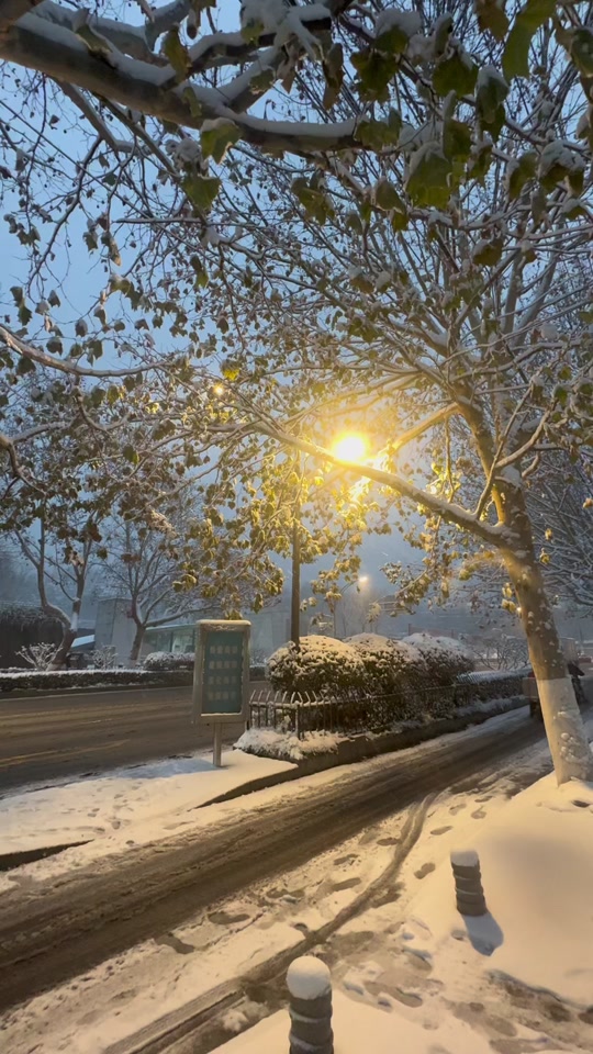 2024年2月11日南京有没有下雪