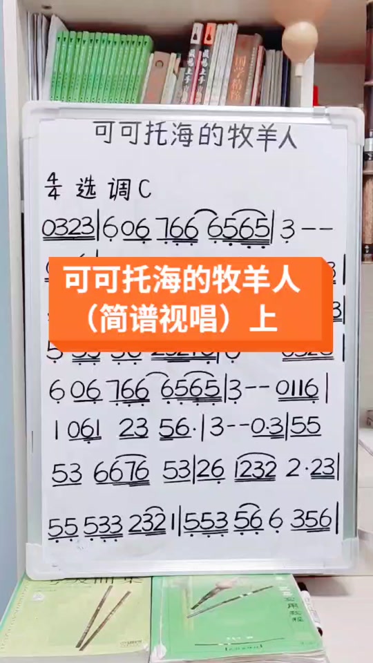 竖笛独奏可可西里牧羊人歌谱简谱教唱 - 抖音