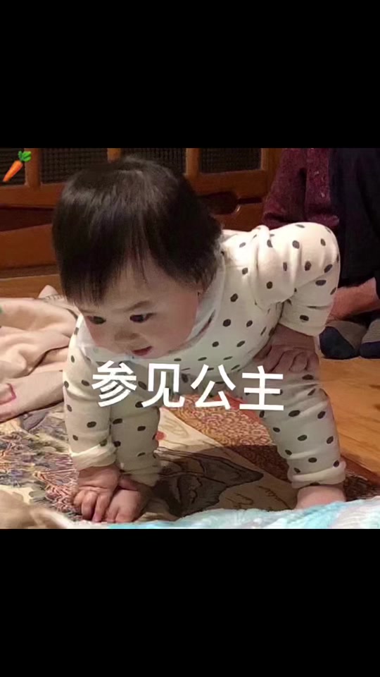 参见美女的表情包原图