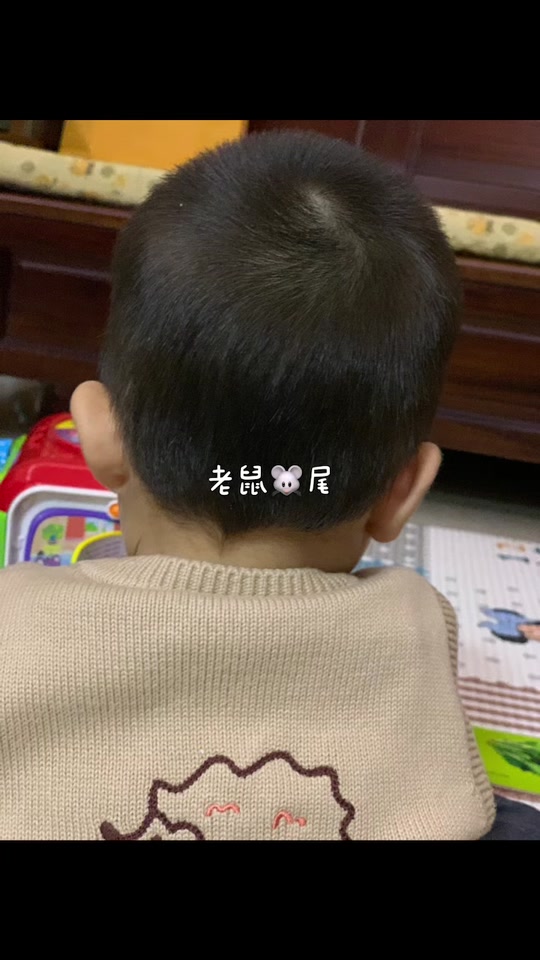 老鼠干什么发型