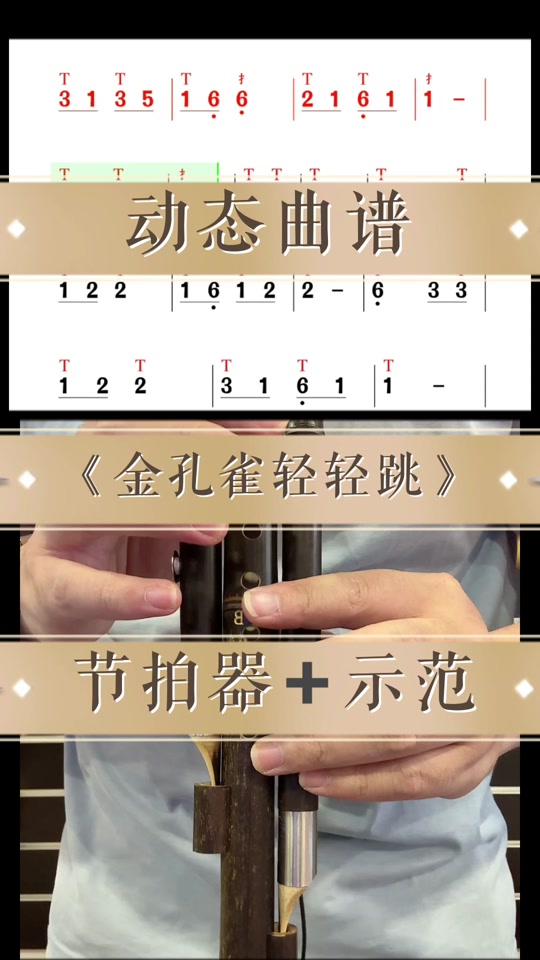 葫芦丝乐谱金孔雀带有打印的