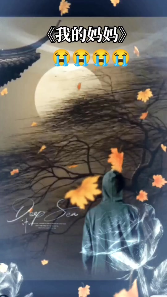 赞美诗总是走过了才知道歌词歌谱 - 抖音