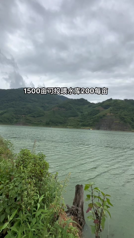 江西大坑口水库怎么收费 - 抖音