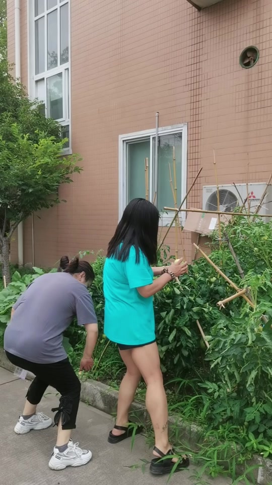 武冈大姐大现在怎样了