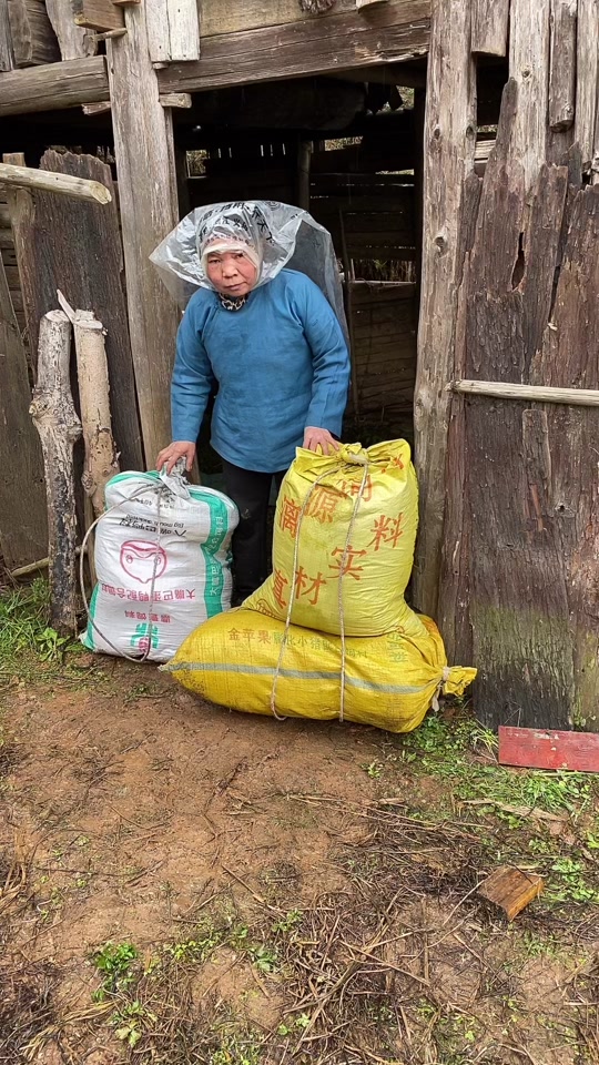 山里人努力李定云个人资料_山里人努力李定云真相