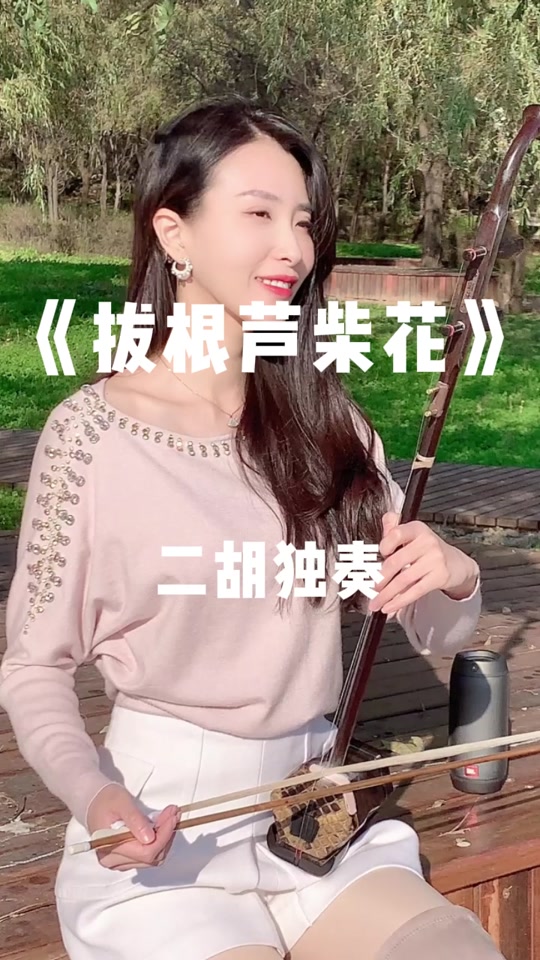 拔根芦柴花二胡