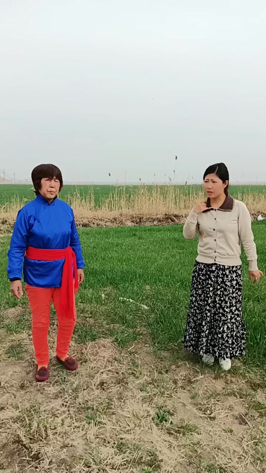 淮安民间小调_淮安民间小调手扶栏杆_淮安民间小调王妈说媒 - 抖音