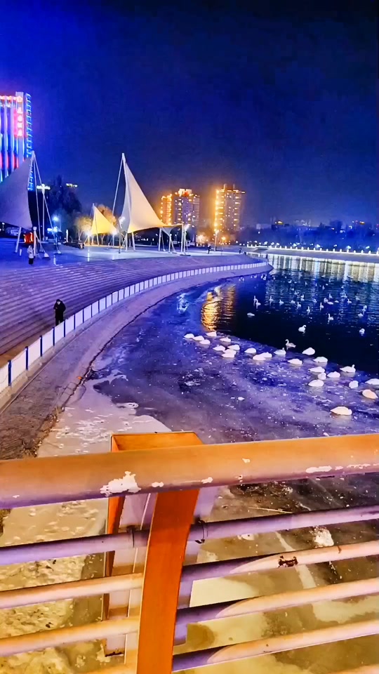 库尔勒孔雀河夜景