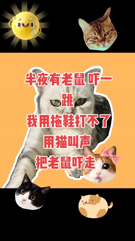 猫抓老鼠叫声mp3惨叫_猫抓老鼠的叫声音乐