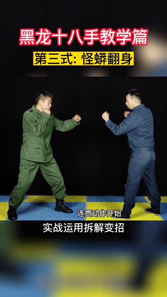 黑龙十八手分解动作教学