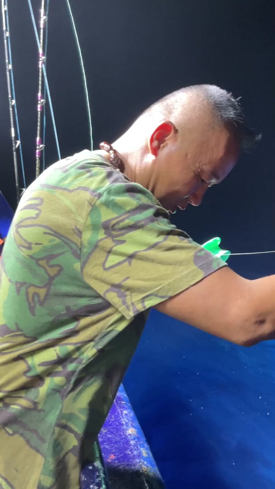 鹤针鱼是淡水还是海水