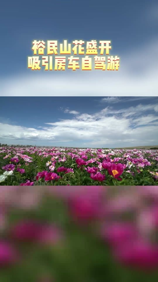 裕民山花节自驾路线攻略 - 抖音