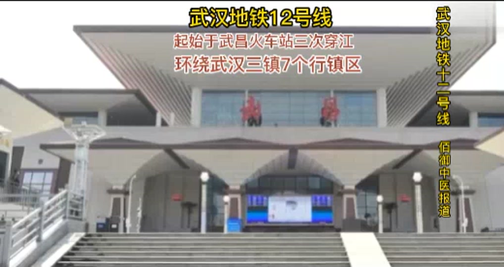 武汉地铁12号线复兴村站出口设置 - 抖音