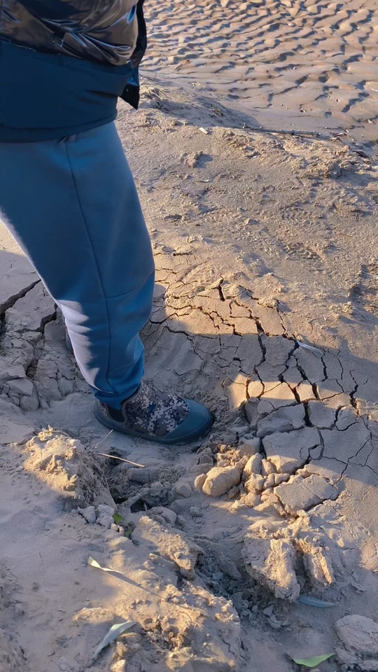 黄河滩踩泥越来越软挖开是什么样子