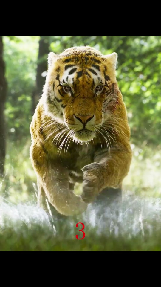 怪物与猛兽renji_range_怪物与猛兽在哪能看