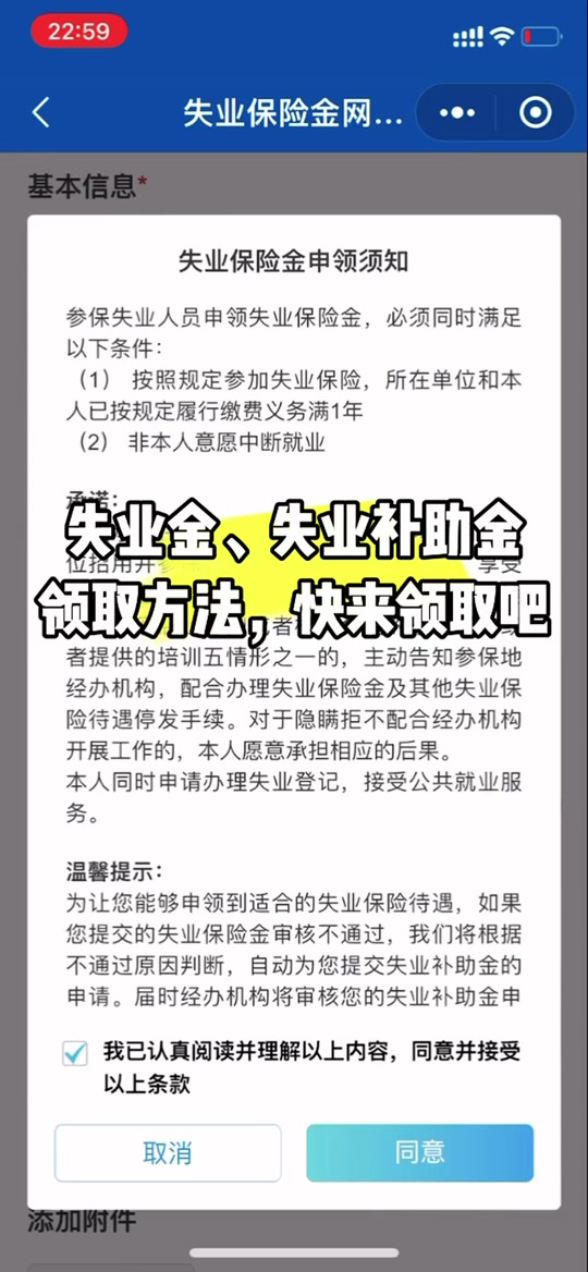 呼市失业金2024年领取条件及标准 - 抖音