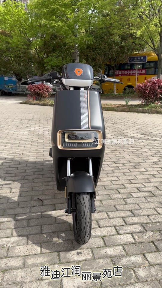 雅迪欧特参数配置 - 抖音