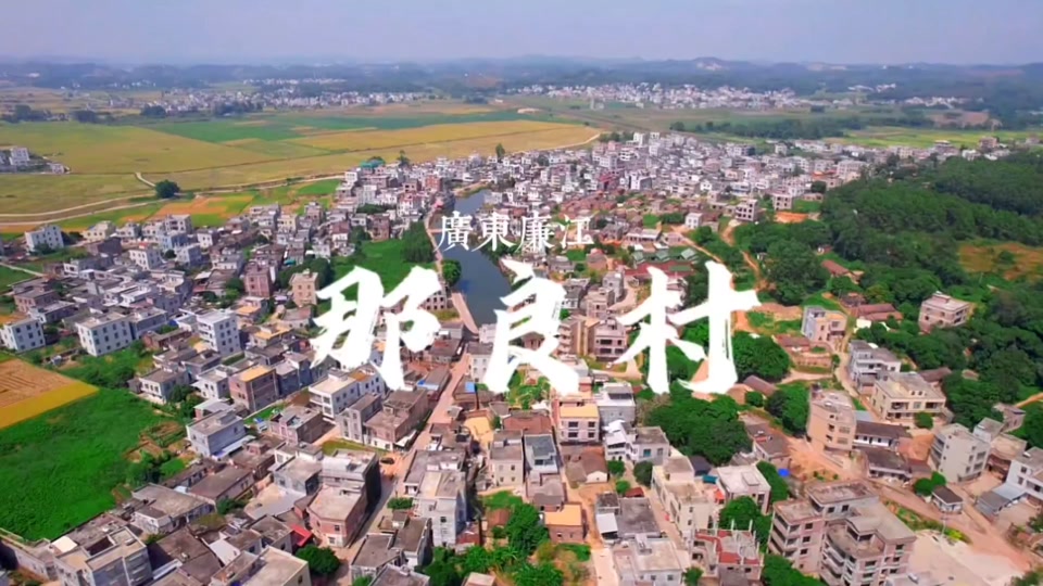 廉江那良村庞春伟别墅拆除