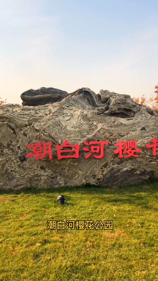 潮白河樱花公园要门票吗 - 抖音