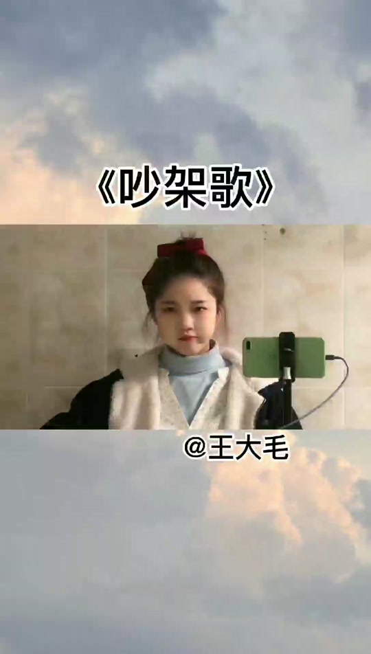 抖音吵架歌毛=和吵架歌很像的歌曲