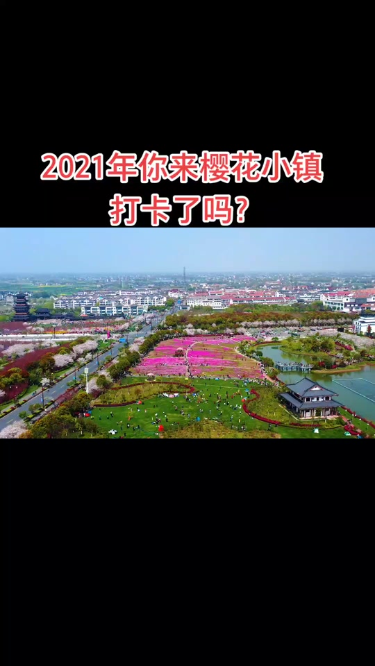 樱花小镇全部食物_樱花小镇美食_樱花小镇在哪 - 抖音