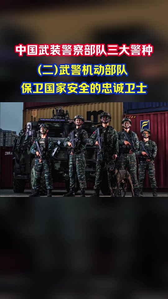 武警部队完成重大任务有哪些 - 抖音