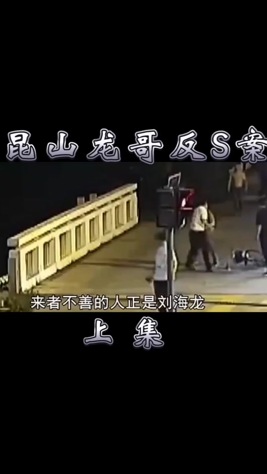 昆山龙哥刘海龙女友_昆山刘海龙是干什么的_刘海龙身份 - 抖音