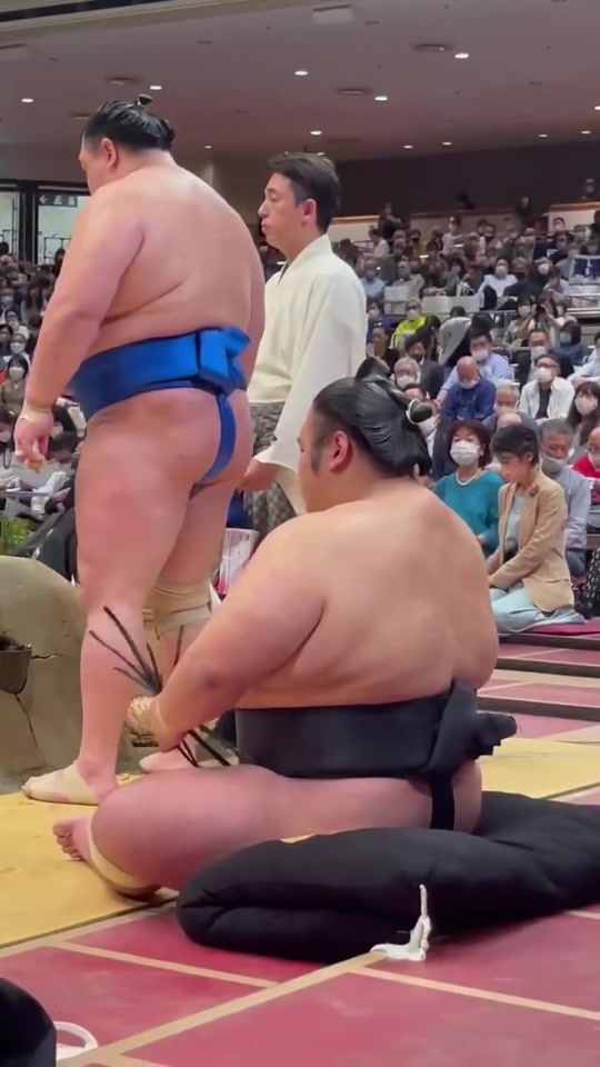 日本相扑手_日本相扑手平均寿命_日本相扑手老婆 - 抖音