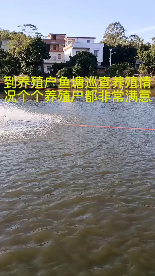 刀鳅鱼养殖_刀鳅鱼养殖成本及利润_刀鳅鱼养殖基地广东 - 抖音