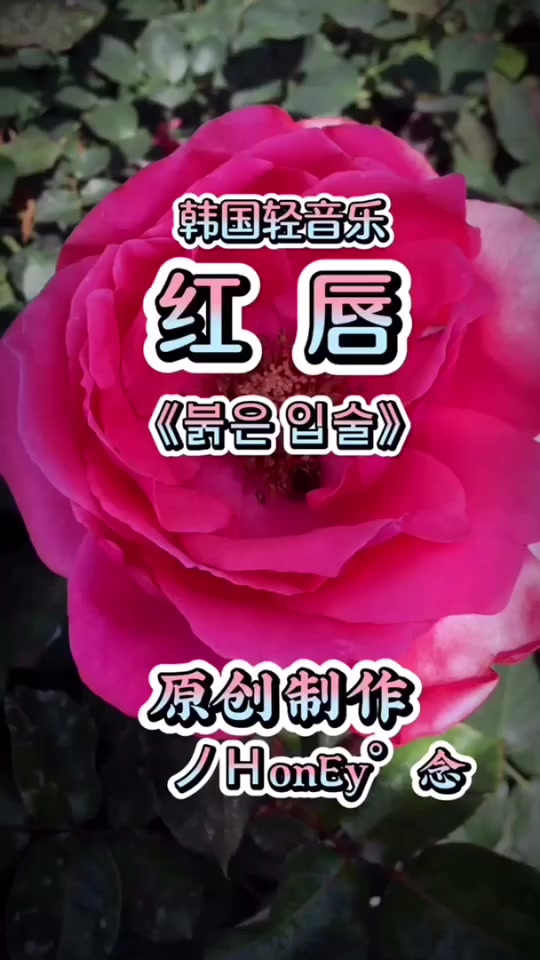 红唇钢琴抖音=红唇纯伴奏升调