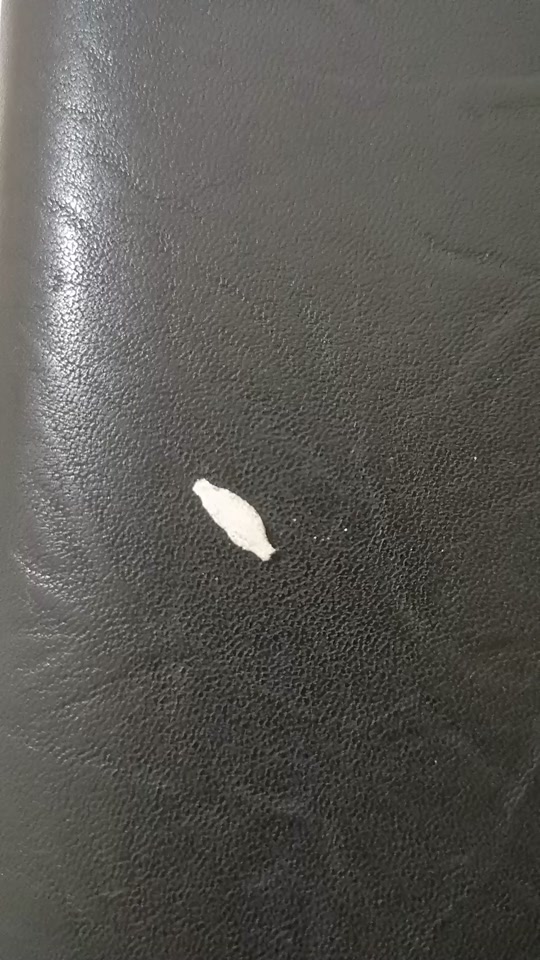 家里有白色细长的虫子 - 抖音