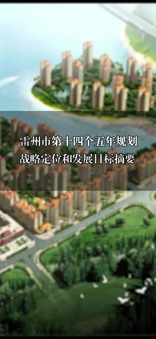 雷州市2025年规划图 - 抖音