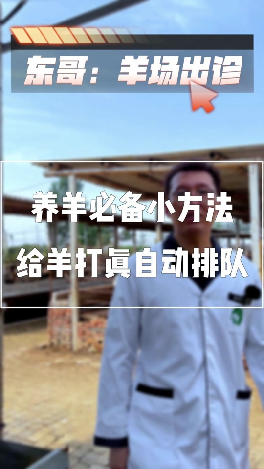 有什么方法可以让羊一动不动 - 抖音