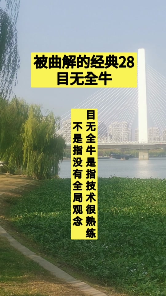 目无全牛是什么意思打一生肖动物_目无全牛意思是