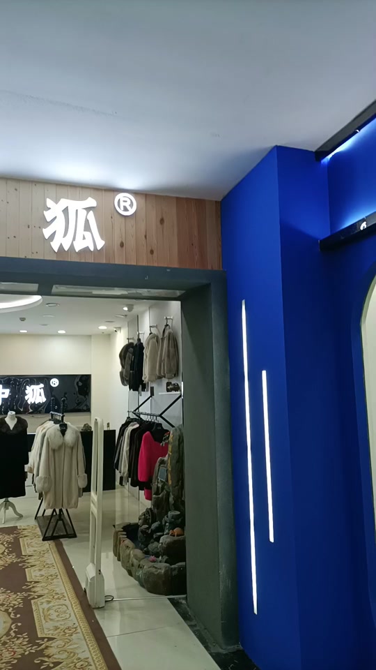 白狐裘披风_古代狐裘大衣