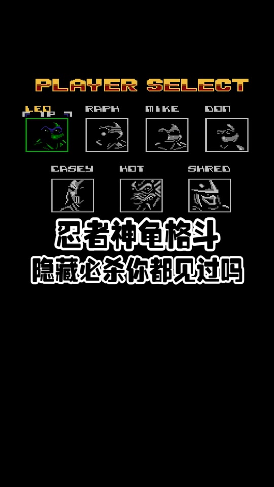 忍者神龟格斗隐藏大招表