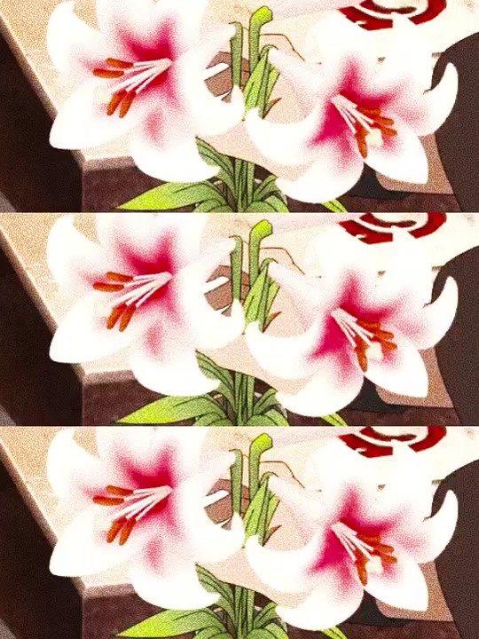 带土撒花