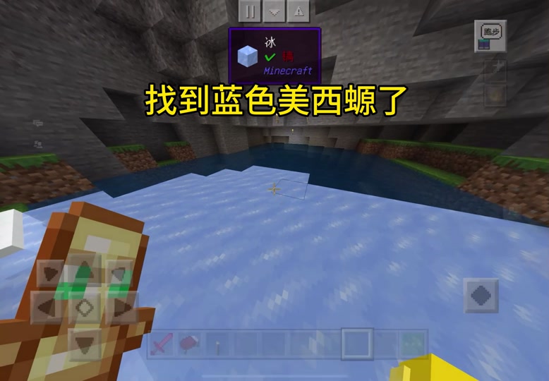 现实中的蓝色美西螈_什么是美西螈_蓝色美西螈我的世界 - 抖音