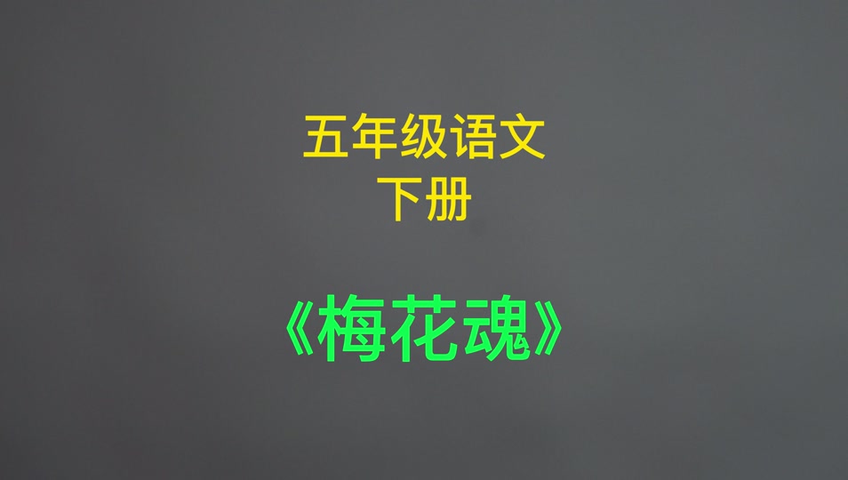 语声朗读:五年级语文下册《梅花魂》 课文朗读 #五年级语文 #小学语文