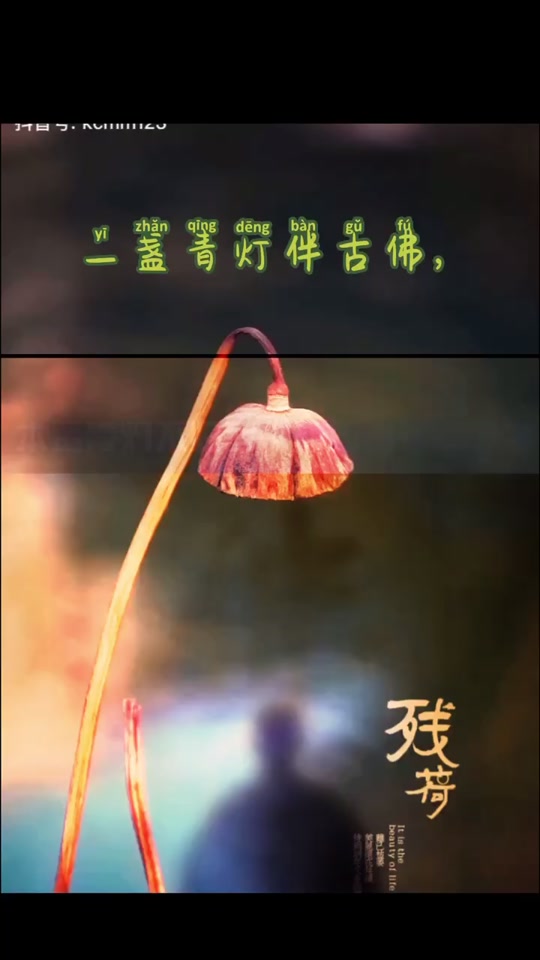 一盏青灯伴古佛,半为修行半入魔壁纸_一盏青灯伴