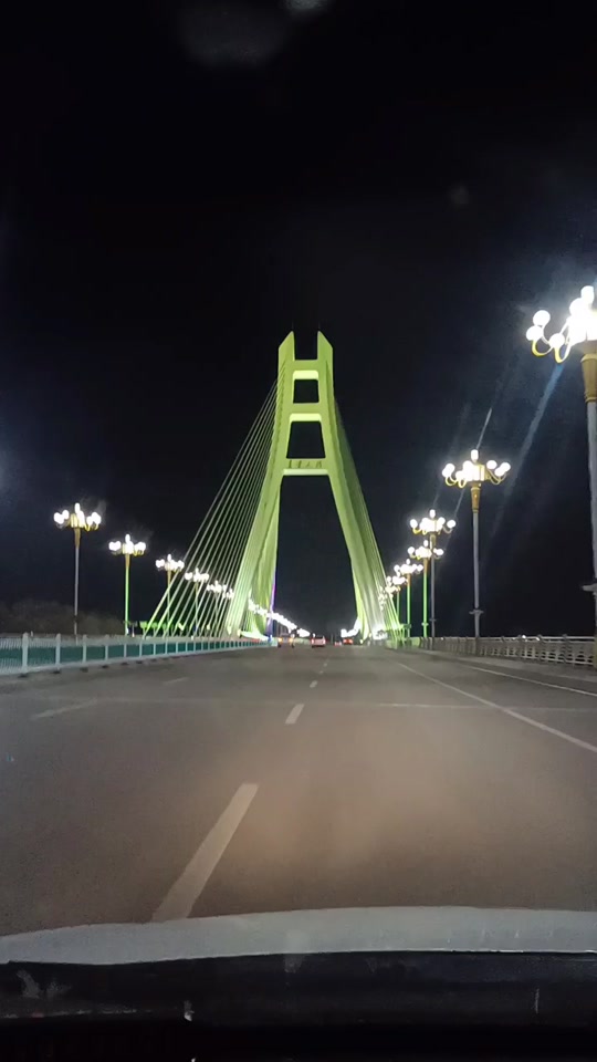 安丘青云大桥简介_安丘青云大桥夜景