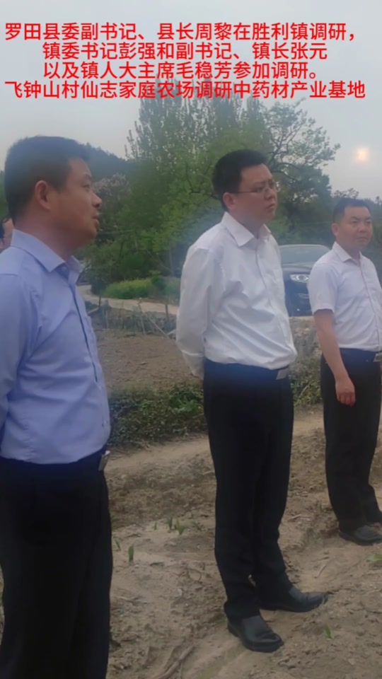 周黎籍贯是罗田吗