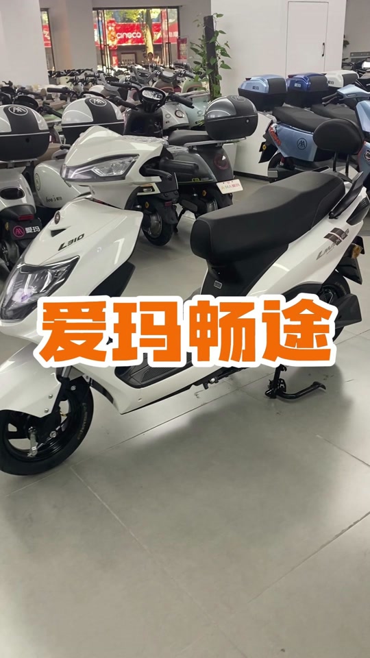 爱玛畅途l310旗舰版和基础版区别