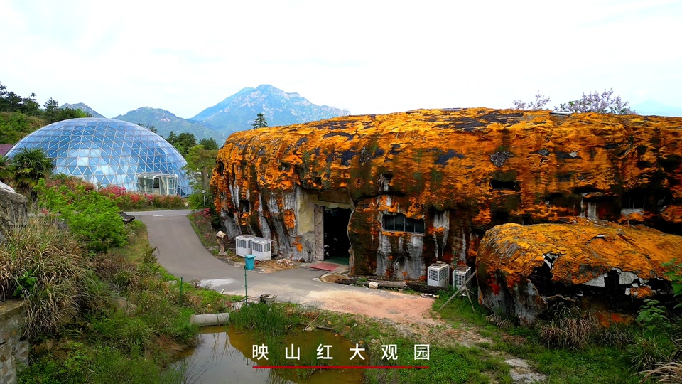 岳西映山红大观园
