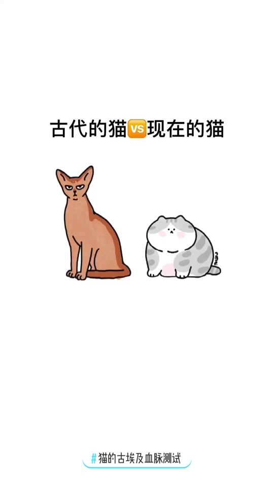 最恶心的动画埃及猫 - 抖音