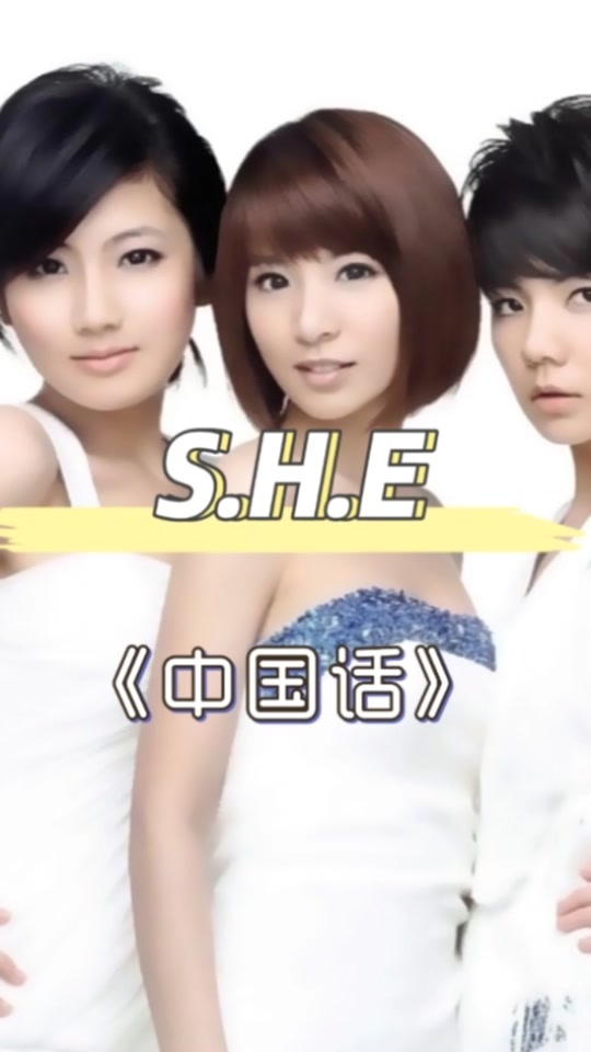 she中国话改歌词