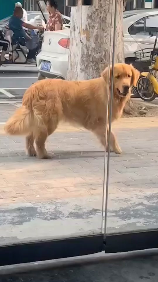 抖音边走路边甩头的男的叫啥 - 抖音