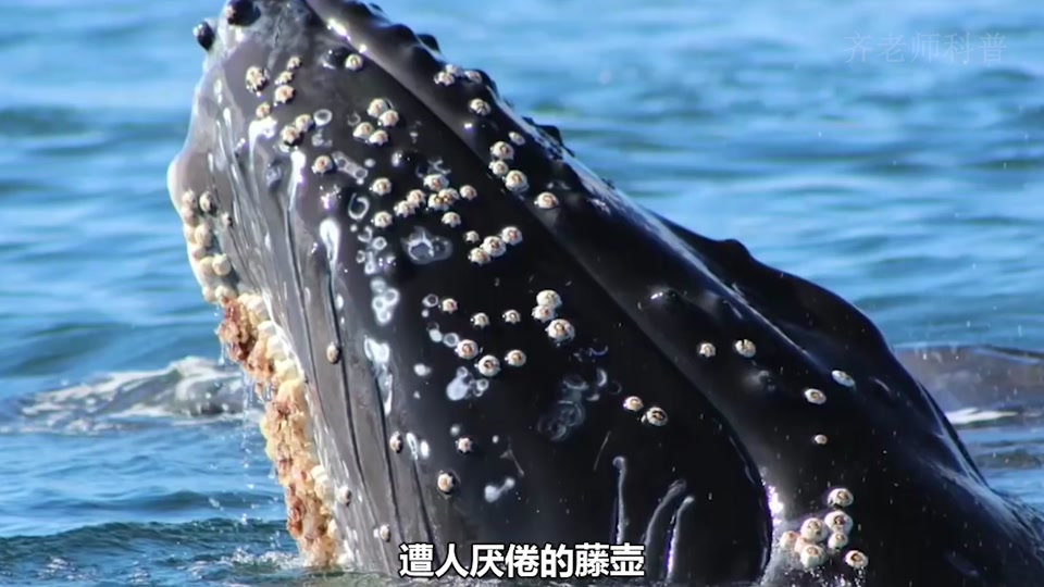 c9eb1a56c0f34114b6f9141f80369268_1648055080?x-expires=1993892400&x-signature=sPtm6KifNSDcpRCq8J98dxDNCfc%3D&from=1516005123