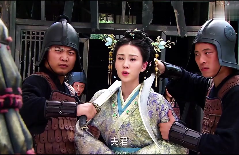 卫子夫沈葭怀孕了大肚子